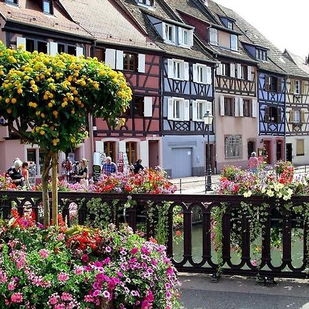 Colmar,Appart Chaleureux 2 Pas Centre Avec Jardin Экстерьер фото