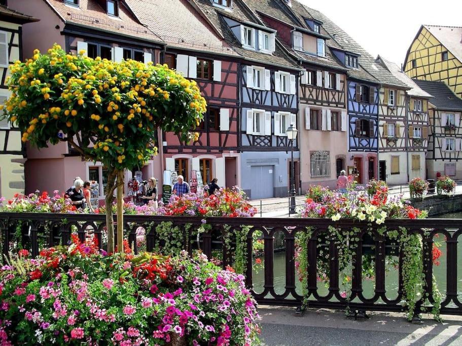 Colmar,Appart Chaleureux 2 Pas Centre Avec Jardin Экстерьер фото